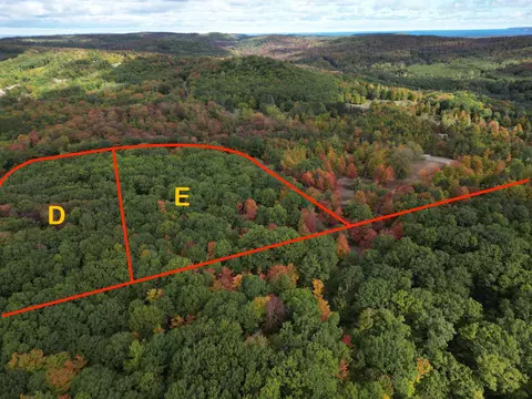 Parcel E Trumbull, Maple City, MI 49664 photo 3