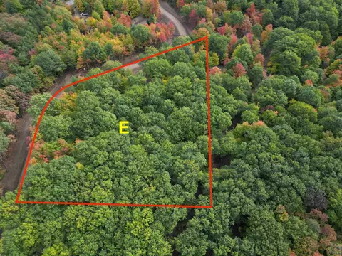 Parcel E Trumbull, Maple City, MI 49664
