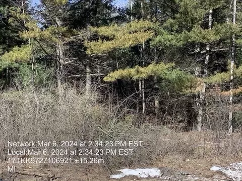 00 Timreck #PARCEL B, Tawas City, MI 48763
