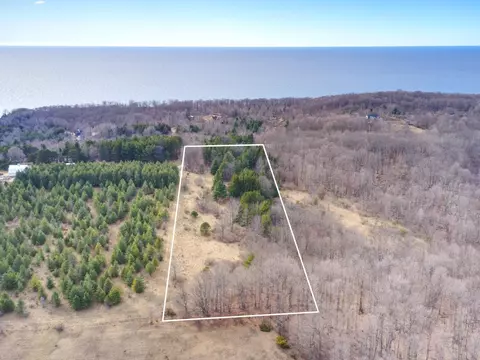 007 Maxey, Arcadia, MI 49613 photo 3