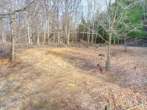 007 Maxey, Arcadia, MI 49613 photo 11