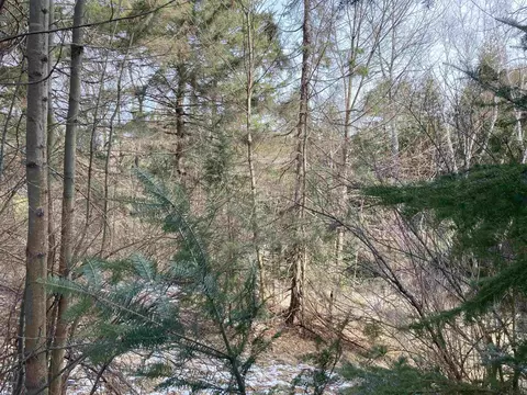 View/Area - 3585 Lupton, Lupton, MI 48635 photo 1 of 6