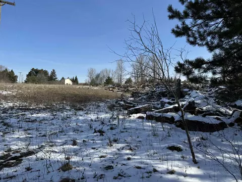 N 33, Manton, MI 49663 photo 9