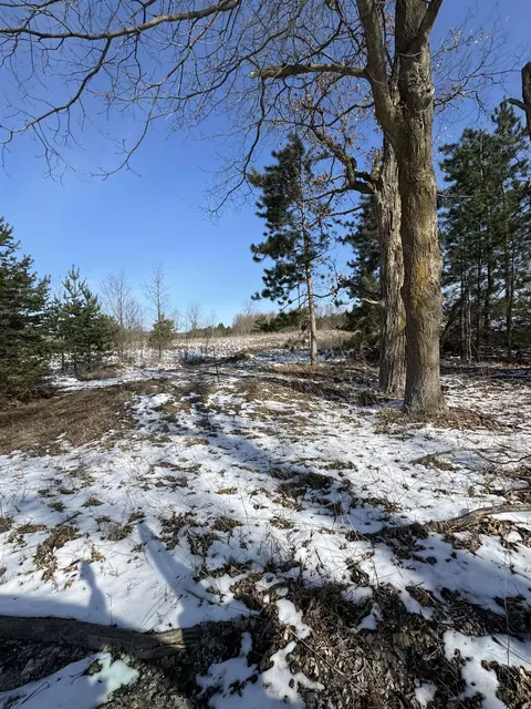 N 33, Manton, MI 49663 photo 8