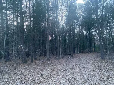 tbd Shepherd, Mount Pleasant, MI 48858 photo 5