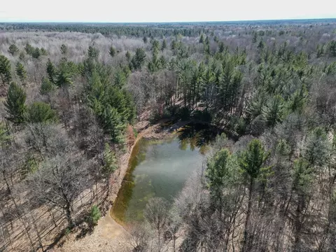 tbd Shepherd, Mount Pleasant, MI 48858 photo 2