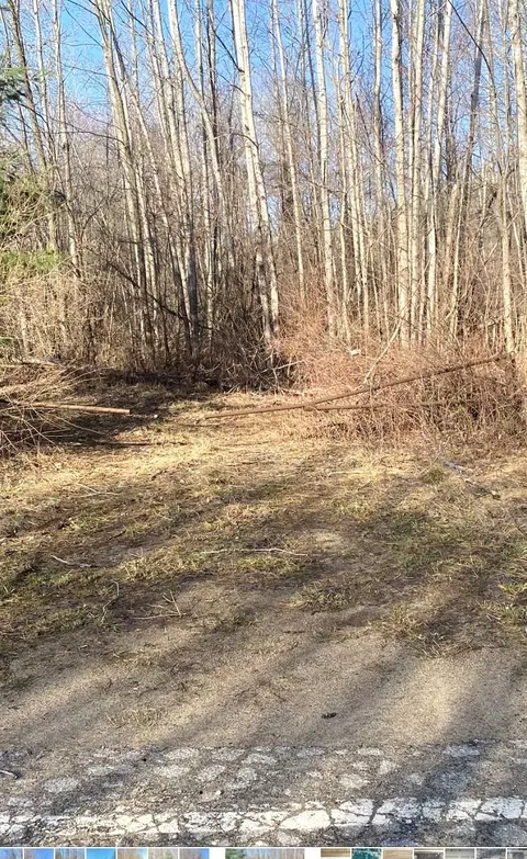 tbd Shepherd, Mount Pleasant, MI 48858 photo 3