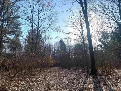 tbd Shepherd, Mount Pleasant, MI 48858 photo 18