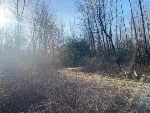 tbd Shepherd, Mount Pleasant, MI 48858 photo 23