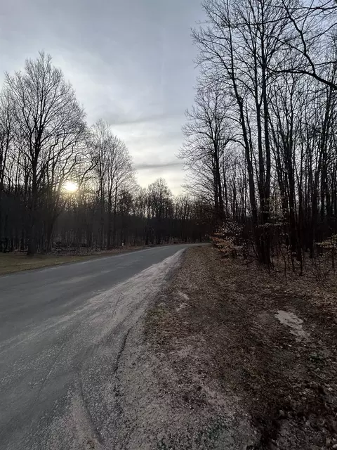 Lot 83 East Village, Bellaire, MI 49615
