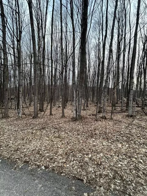 Lot 191 Hilltop, Bellaire, MI 49615