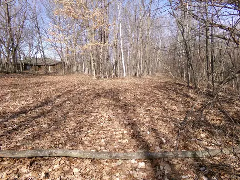 Tbd E River Run, Mount Pleasant, MI 48858 photo 7