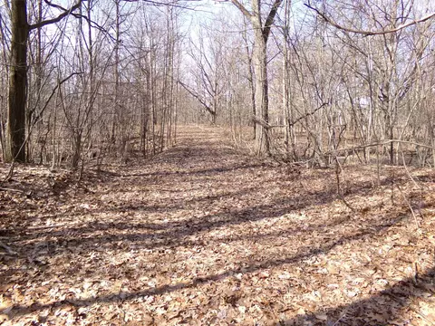 Tbd E River Run, Mount Pleasant, MI 48858 photo 3