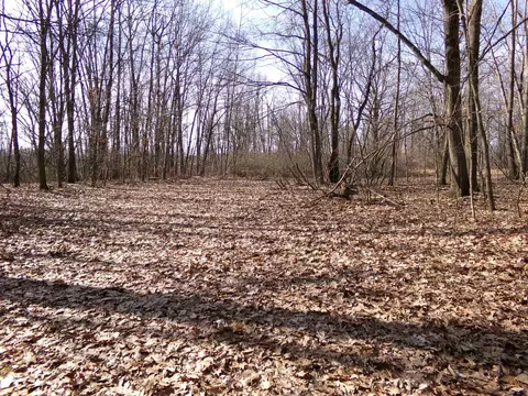 Tbd E River Run, Mount Pleasant, MI 48858 photo 12
