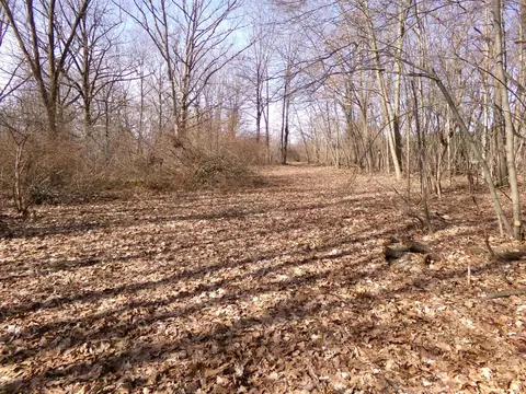 Tbd E River Run, Mount Pleasant, MI 48858 photo 14
