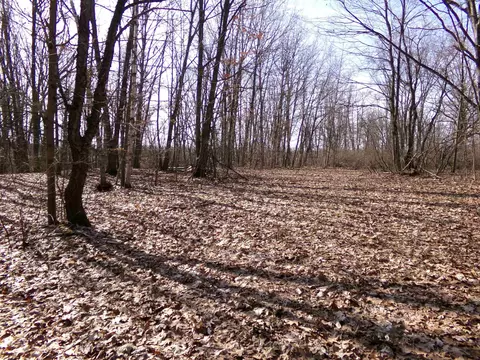 Tbd E River Run, Mount Pleasant, MI 48858 photo 9
