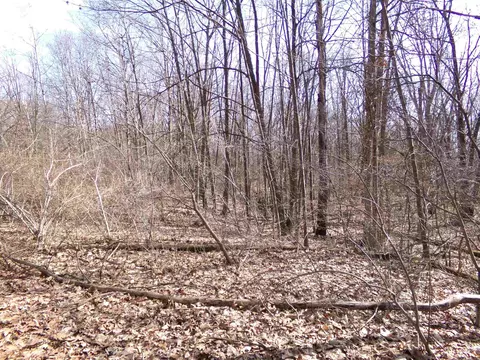 Tbd E River Run, Mount Pleasant, MI 48858 photo 21
