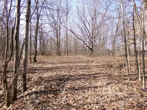 Tbd E River Run, Mount Pleasant, MI 48858 photo 6
