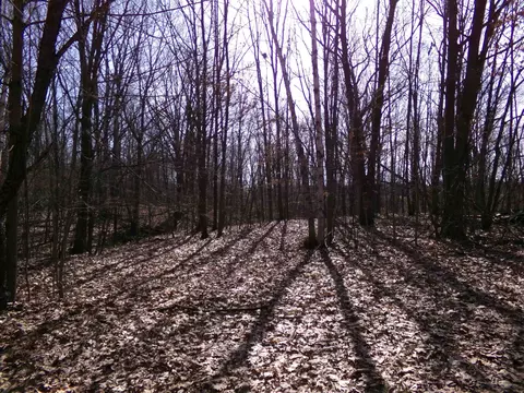 Tbd E River Run, Mount Pleasant, MI 48858 photo 11