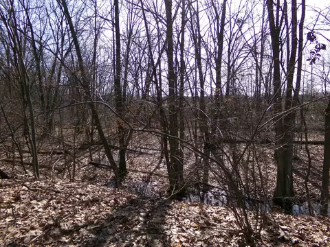 Tbd E River Run, Mount Pleasant, MI 48858 photo 18