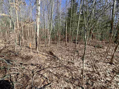 V/l Tower Road, Kalkaska, MI 49646