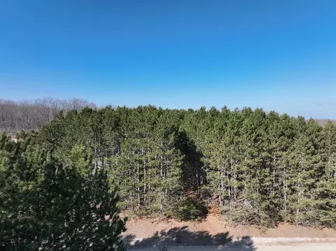 00 N 17, Mesick, MI 48823 photo 6
