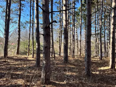 00 N 17, Mesick, MI 48823 photo 12
