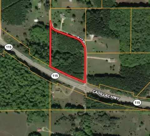 00 N 17, Mesick, MI 48823 photo 17