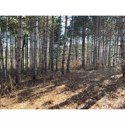00 N 17, Mesick, MI 48823 photo 13