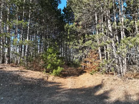 00 N 17, Mesick, MI 48823 photo 10