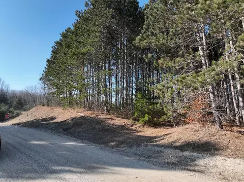 00 N 17, Mesick, MI 48823 photo 9