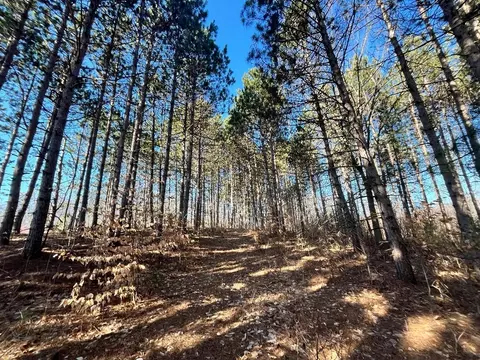 00 N 17, Mesick, MI 48823 photo 11