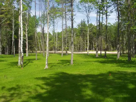 43 Deer #THE HOMEAD, Glen Arbor, MI 49636