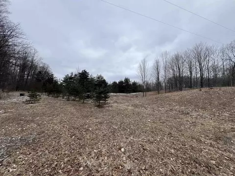 00 21 Mile, Tustin, MI 49688