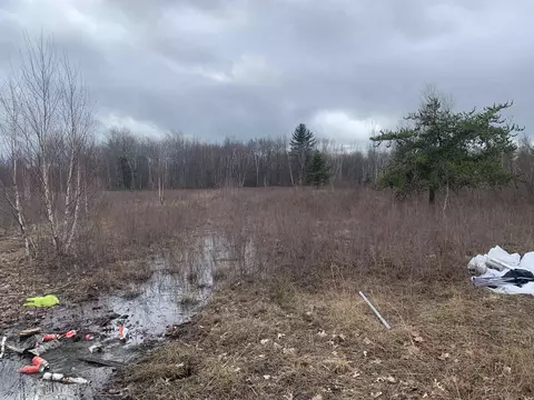 1740 Manor, Au Gres, MI 48703 photo 2