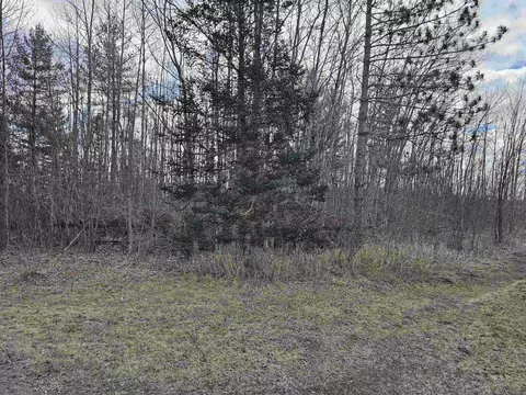 Exterior - 1730 M-65, Hale, MI 48739 photo 6 of 7
