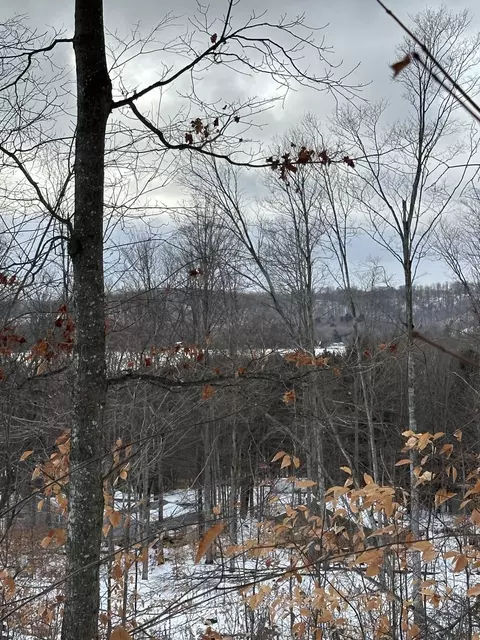 s lime lake, Cedar, MI 49621