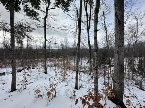 s lime lake, Cedar, MI 49621 photo 4