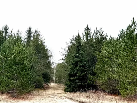 652 Phelps, Kalkaska, MI 49646