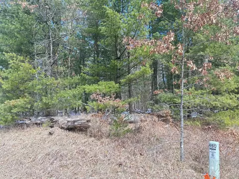 lynn LOT : MUIP, Baldwin, MI 49304