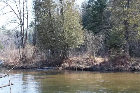 H3/h4 W Sharon, Fife Lake, MI 49633