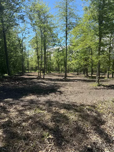 11560 S Lakeside, Shepherd, MI 48858