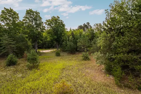 150 Weldon, Beulah, MI 49617 photo 10