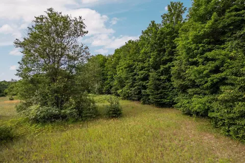 150 Weldon, Beulah, MI 49617 photo 5