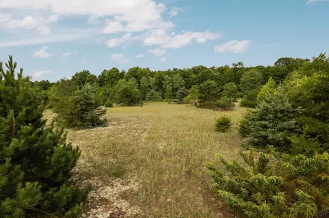 150 Weldon, Beulah, MI 49617 photo 8