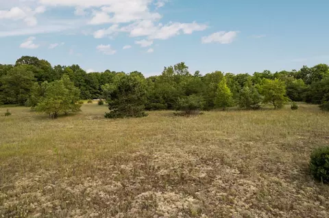 150 Weldon, Beulah, MI 49617 photo 7