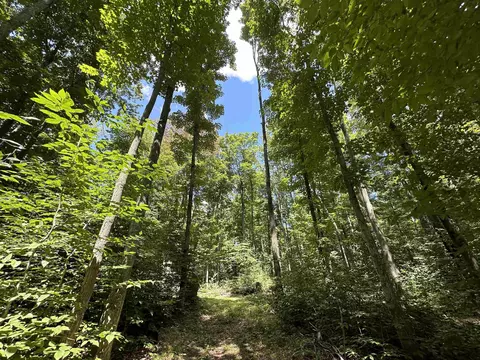 9738 Trail 21, Mancelona, MI 49659