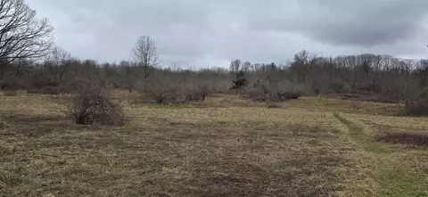 E Gates, Riverdale, MI 48877