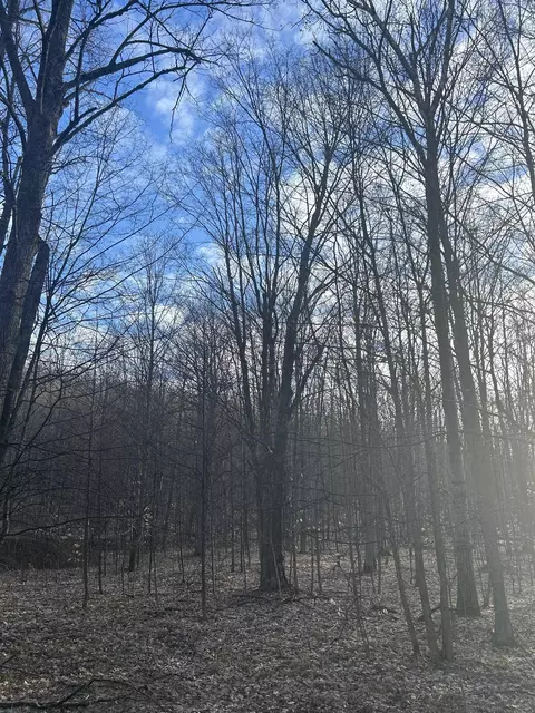 Lot 141 East Village, Bellaire, MI 49615
