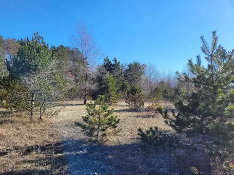 0 S M-37, Harrietta, MI 49638